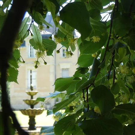 Château Marith - Etablissement Climatisé Avec Piscine Hotel 3*